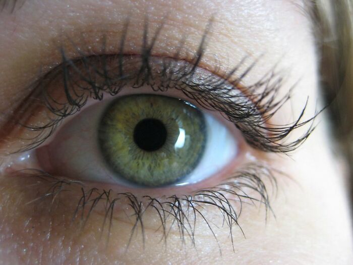 “What Is A Little-Known Fact That Can Save You From A Life-Threatening Situation?” (30 Answers)