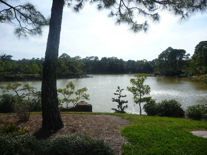 “What Is A Little-Known Fact That Can Save You From A Life-Threatening Situation?” (30 Answers)