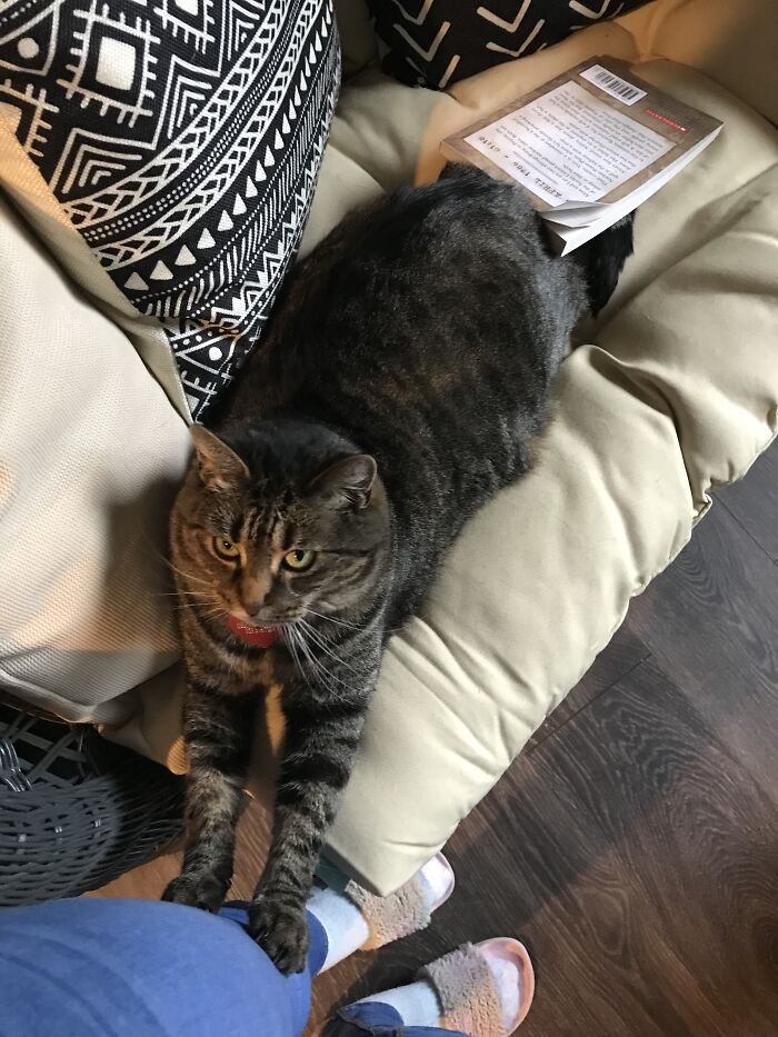 Not Bad But I Got Attacked After