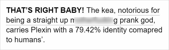 Netizens Are Loving This Humorous Tumblr Post Dedicated To The Intellectual Contrast Between Crows And Keas