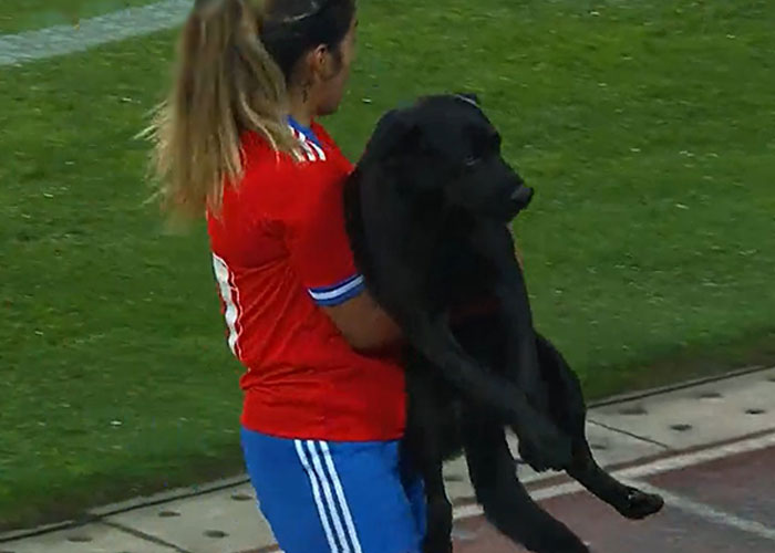 Dog-Interrupts-Football-Match-For-Belly-Rubs