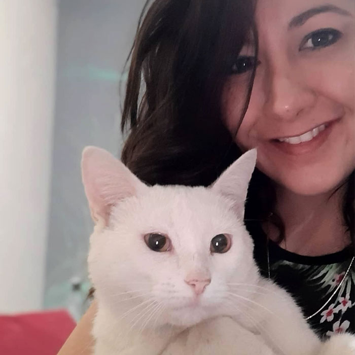 Stray Cat Begging For Food At A Store Melts This Woman's Heart, So She Adopts It And Shares Its Glow Up On Instagram