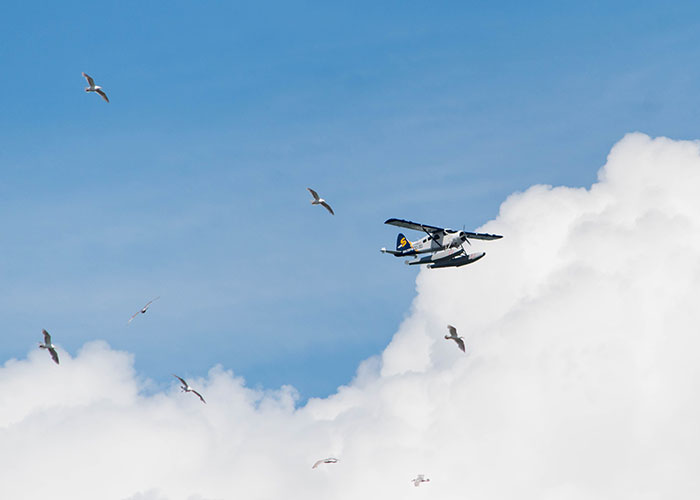 911 Operators Share The Funny And Wild Calls They Couldn't Take With A Straight Face