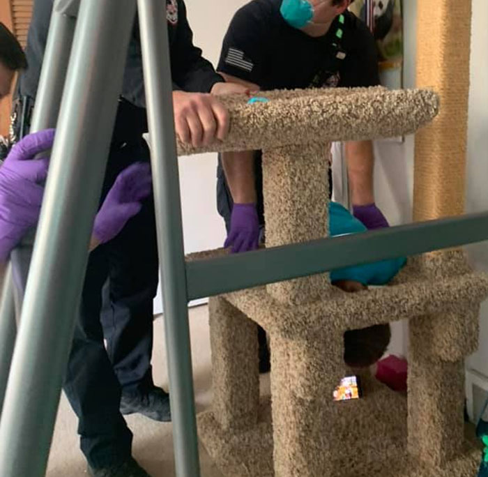 911 Operators Share The Funny And Wild Calls They Couldn't Take With A Straight Face