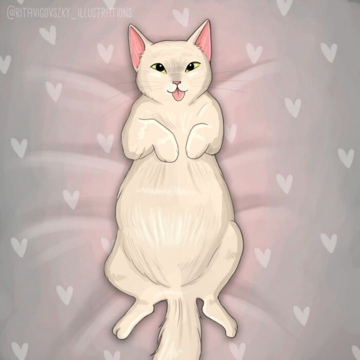 Artist Shows Everyday Life With A Cat Summarized In Adorable Comics (69 New Pics)