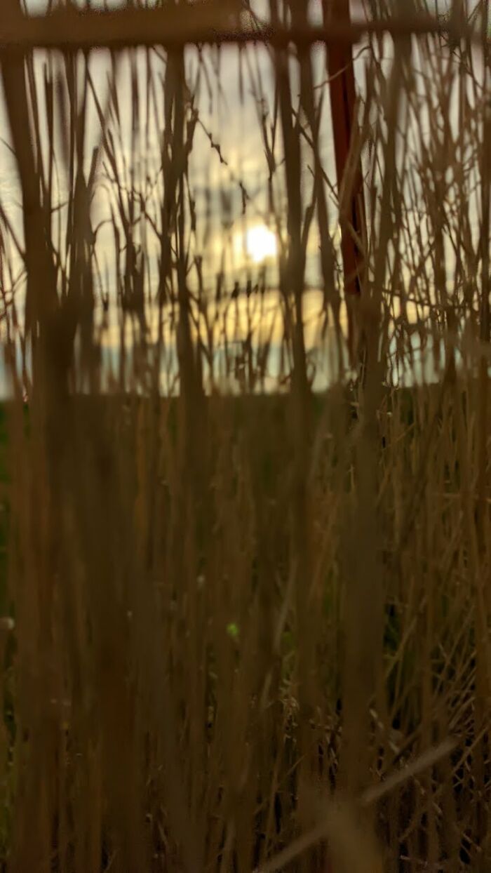 Some Amateur Photography