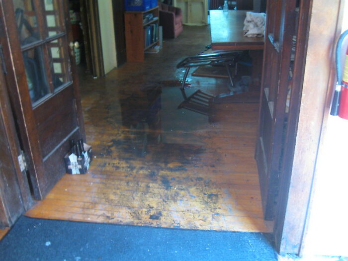 Someone Wonders "What’s The Worst Thing You’ve Come Home To?" And 30 People Deliver Honest Answers