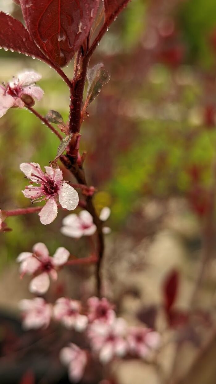 Some Amateur Photography