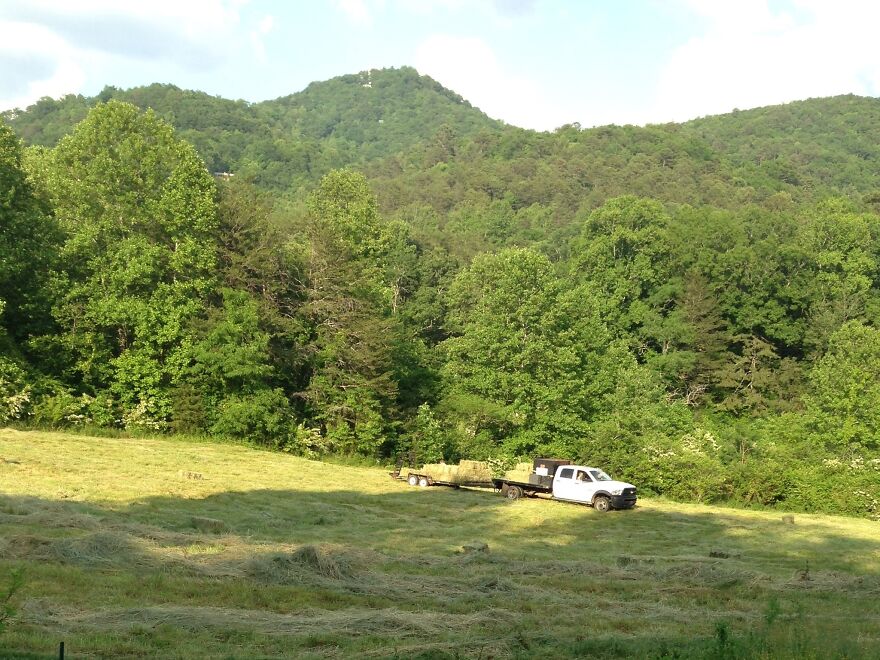 Hay For Your Animals For Free. I’ve Got The 4 Acre Field Of Grass, Come Get It 2019