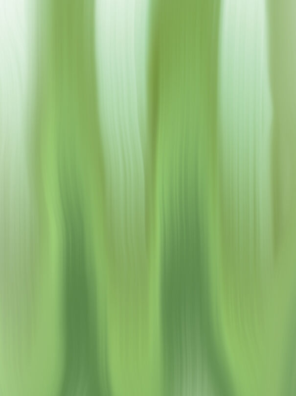 Green Online Art Hope Ya Like, I Was Thinking Wallpaper Material