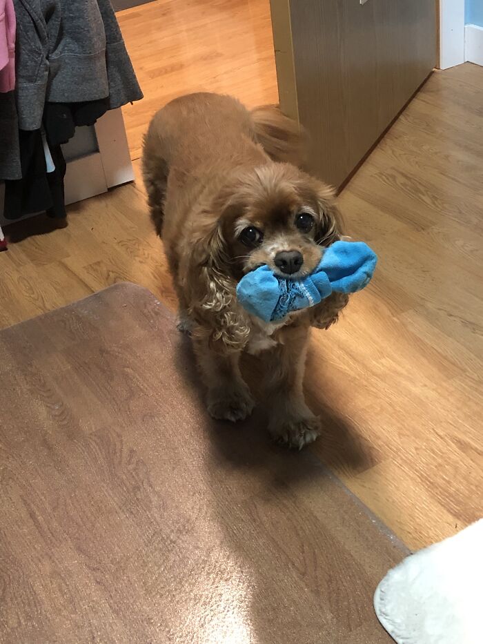 Got Another One. Not Crappy But Adding Because Cutie!!!