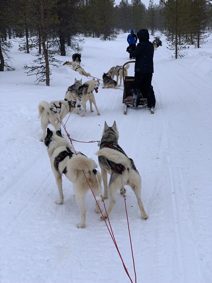 Kakslautenen, Finland
