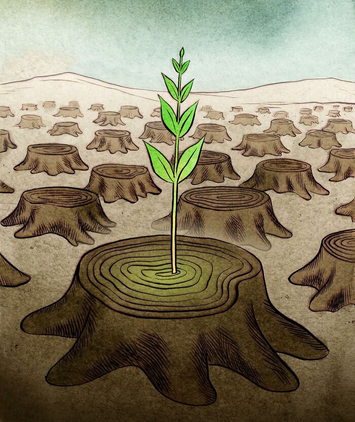 Artist Illustrated 16 Interesting And Thoughtful Illustrations Showing The Other Side Of The World