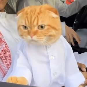 cuevasalonso65 avatar