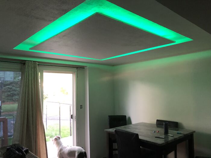 My New Dining Room And Suspended Ceiling I Worked On All Winter