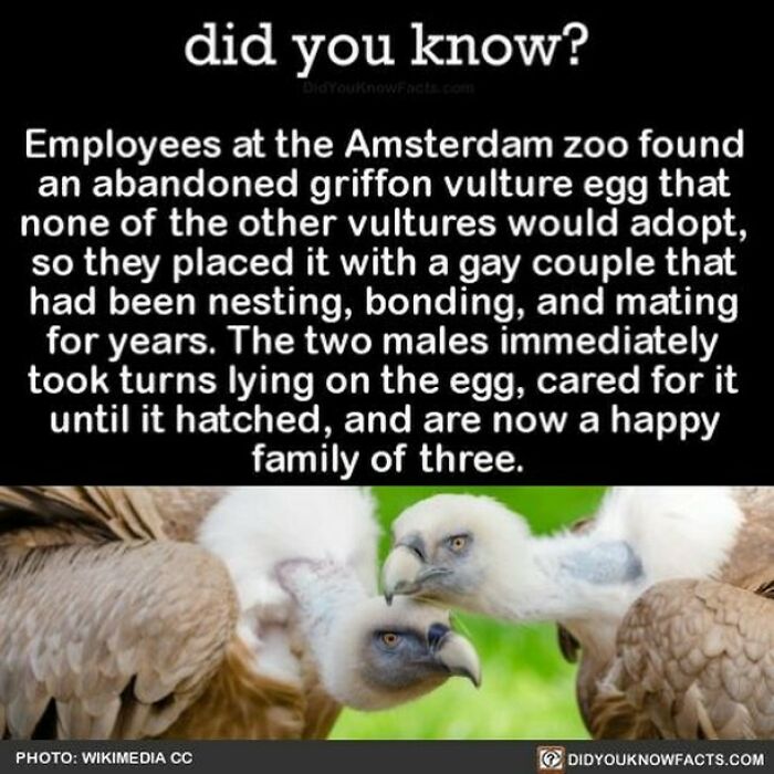 Interesting-Facts-Did-You-Know