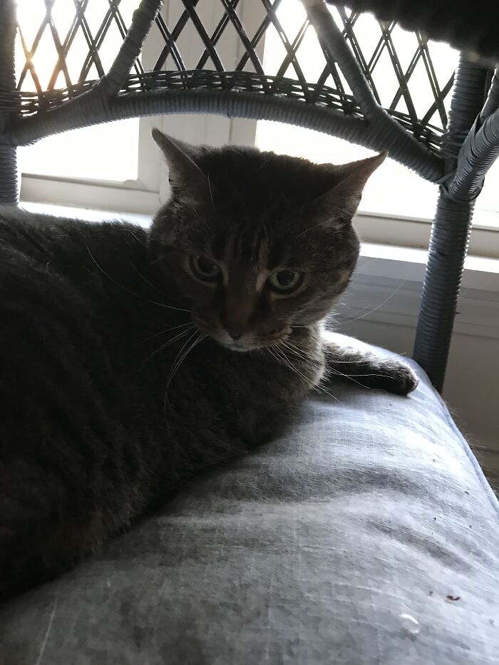 Go Away, But Leave The Food- Shawnda Belle Flowers