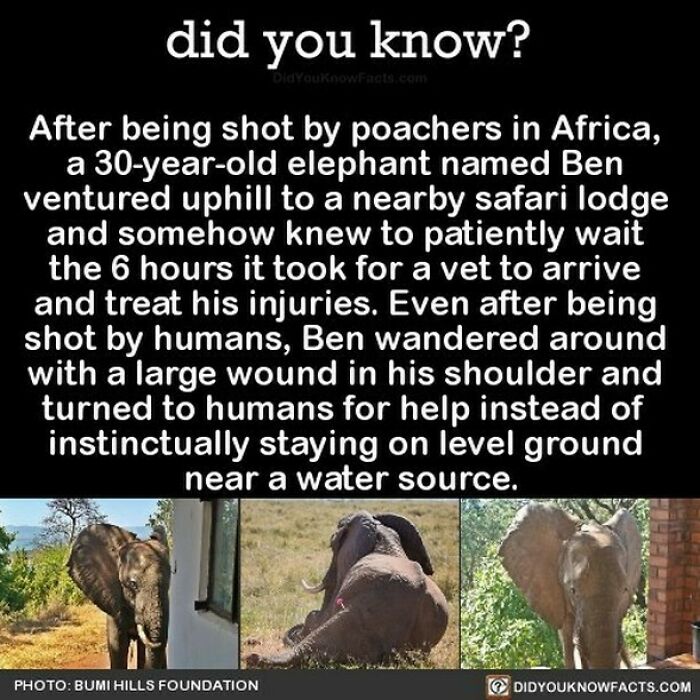 Interesting-Facts-Did-You-Know