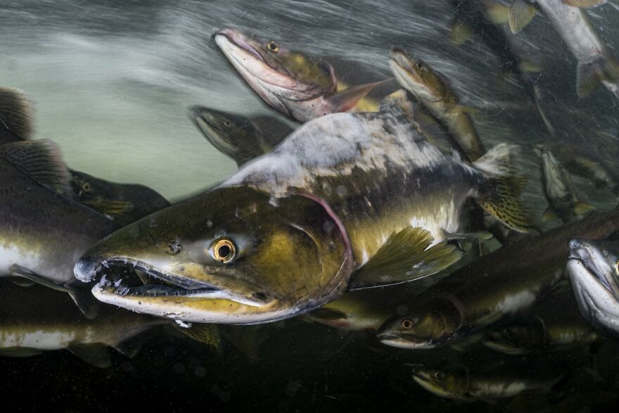 Matthew Sullivan - Wet Category