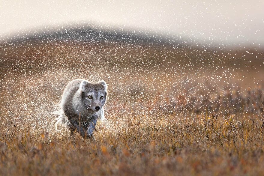 Florian Warnecke - Wet Category