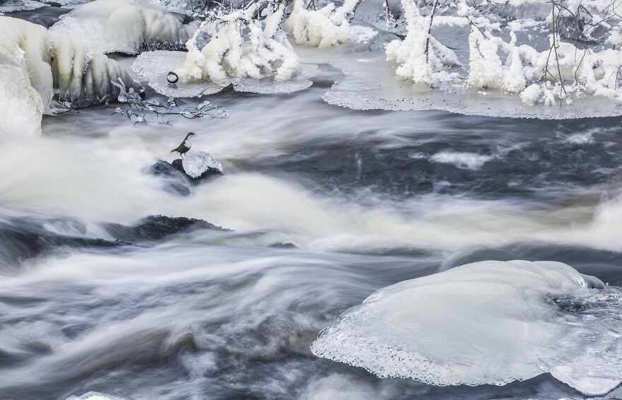 Pål Hermansen - Wet Category