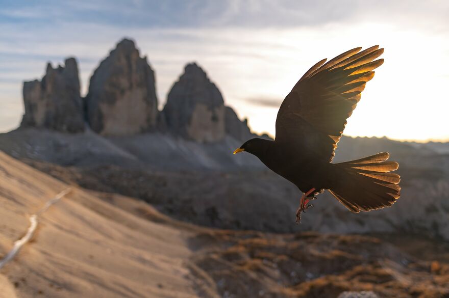 Jan Pokluda - Light Category