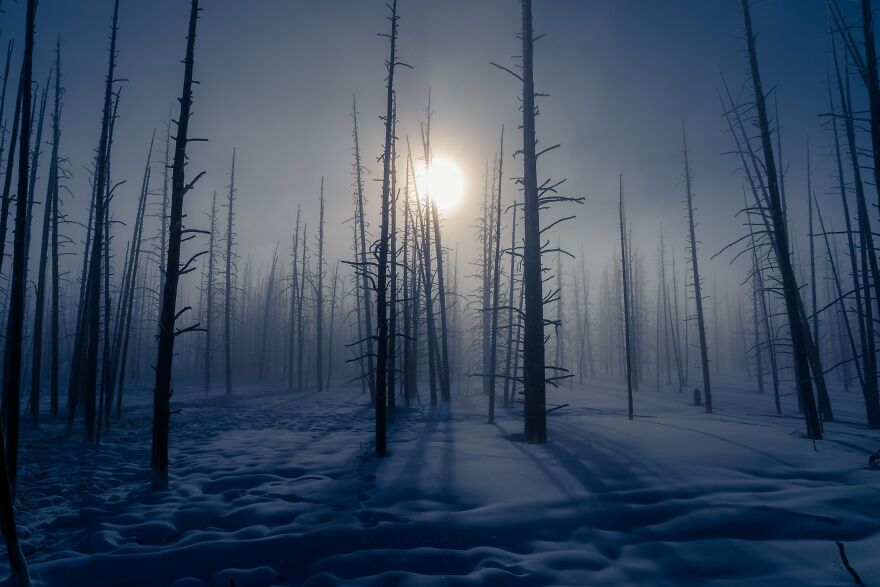 Khurram Khan - Light Category