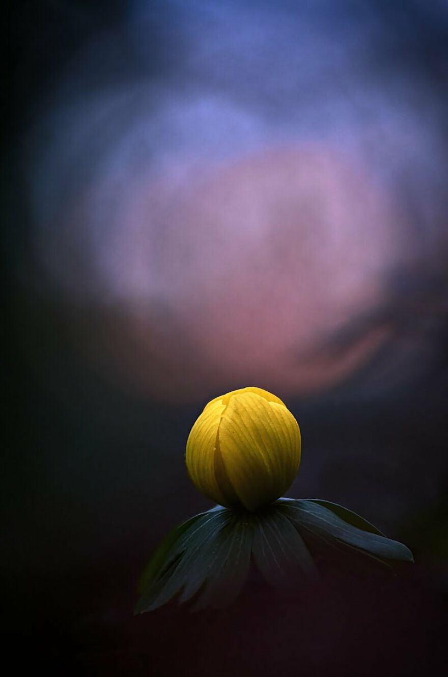 Njikoha Ebigbo - Light Category