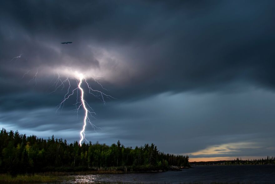 Robin Karpan - Light Category