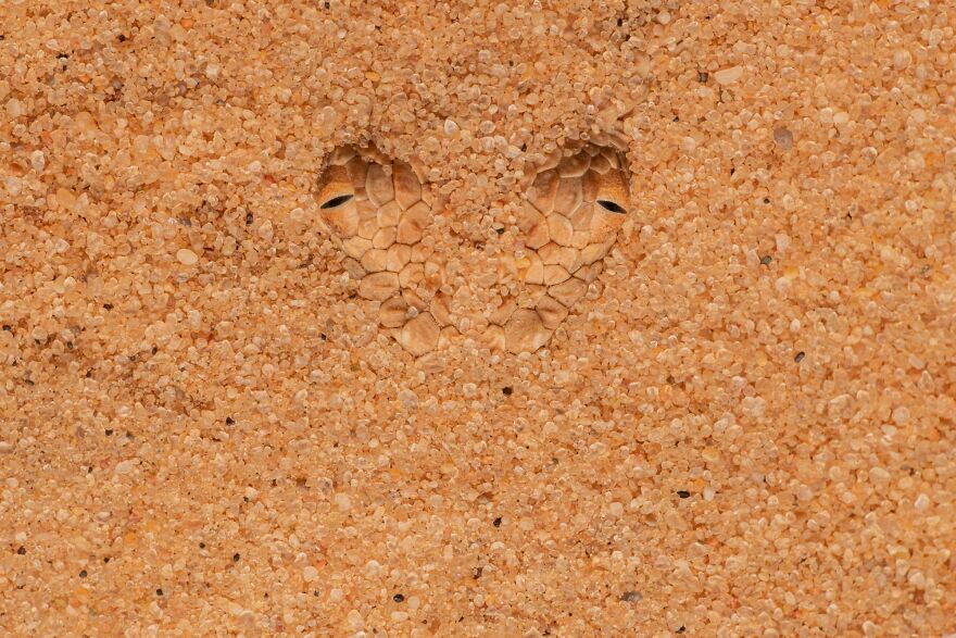 Kai Kolodziej - Eyes Gold Award Winner