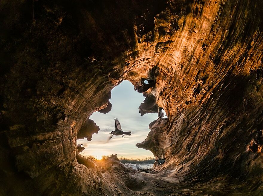 Csaba Daroczi - Light Category