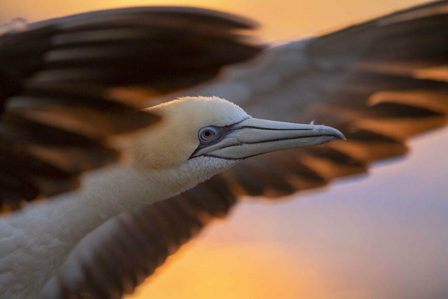 Simon Runting - Light Category
