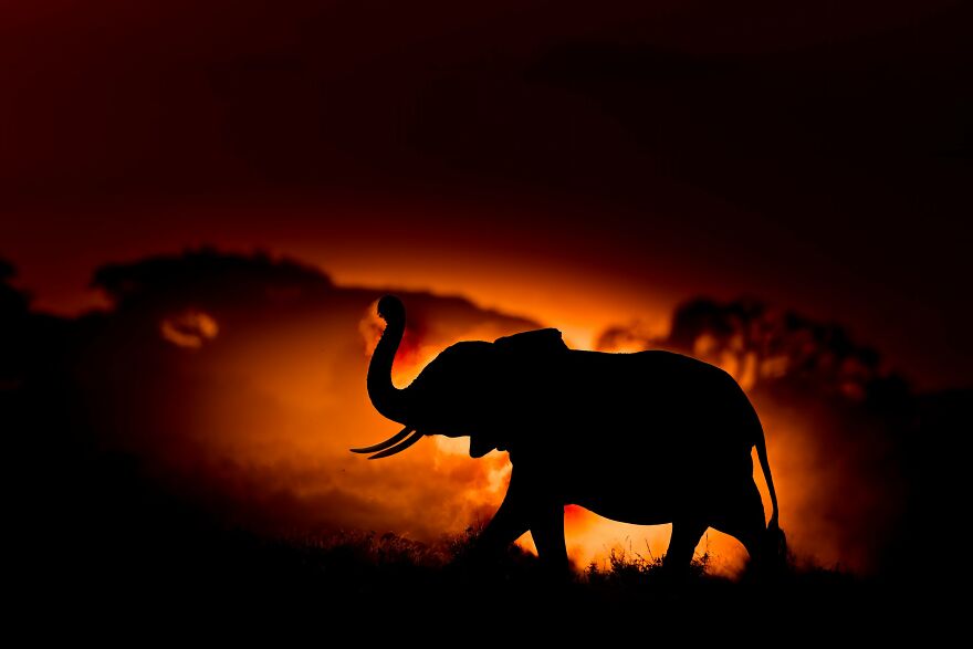 Khurram Khan - Silhouettes Category