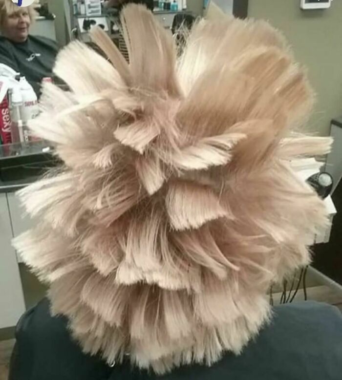 Haircut-Fails-Isthisyourclient