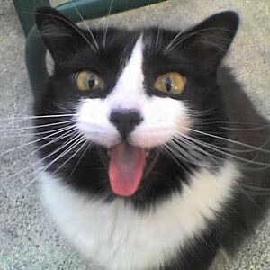 ruthieclearwater avatar