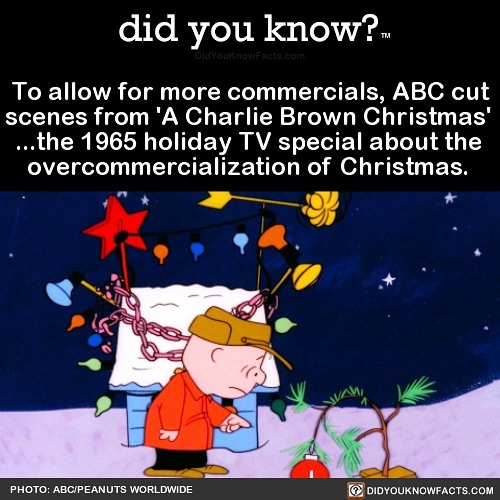 Interesting-Facts-Did-You-Know