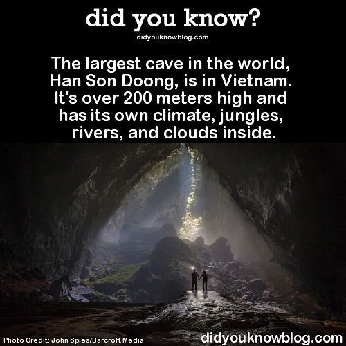 Interesting-Facts-Did-You-Know