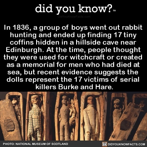 Interesting-Facts-Did-You-Know