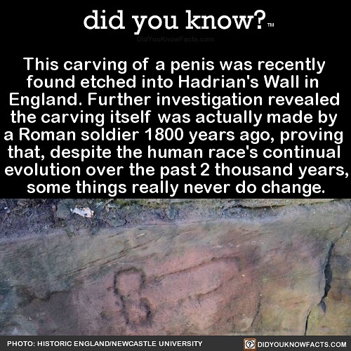 Interesting-Facts-Did-You-Know