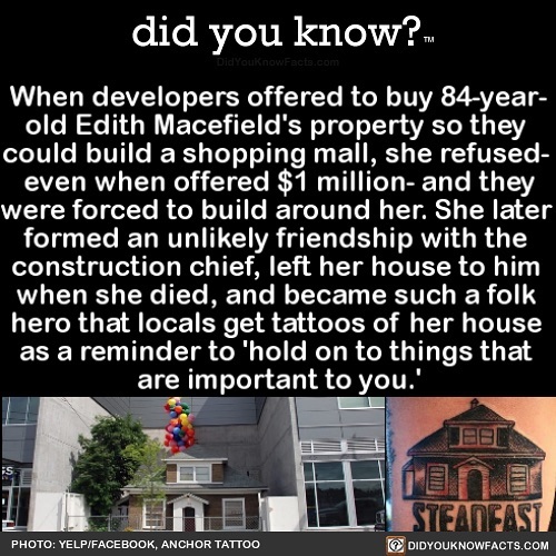 Interesting-Facts-Did-You-Know