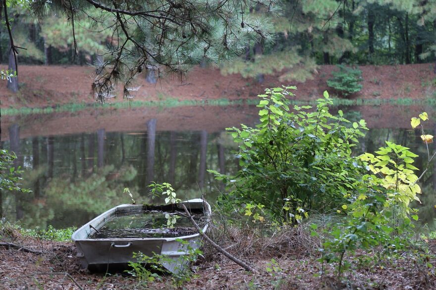 Vignette From My Mimi’s Backyard. I Miss Her Everyday.