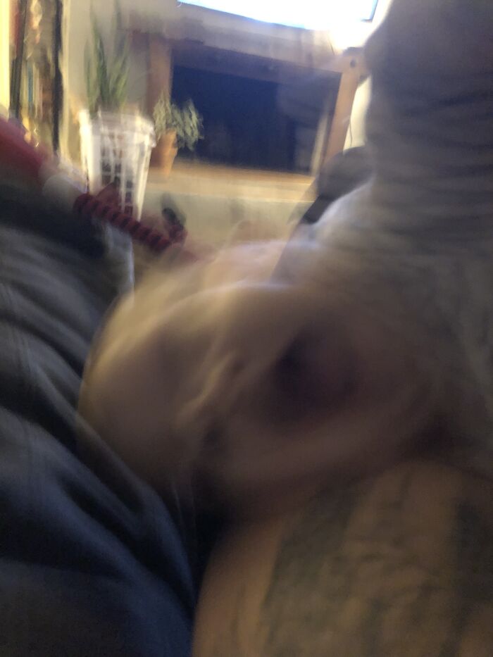 Just My Sister Laughing Herself Into A Demon. I Think My Mom Has Regrets