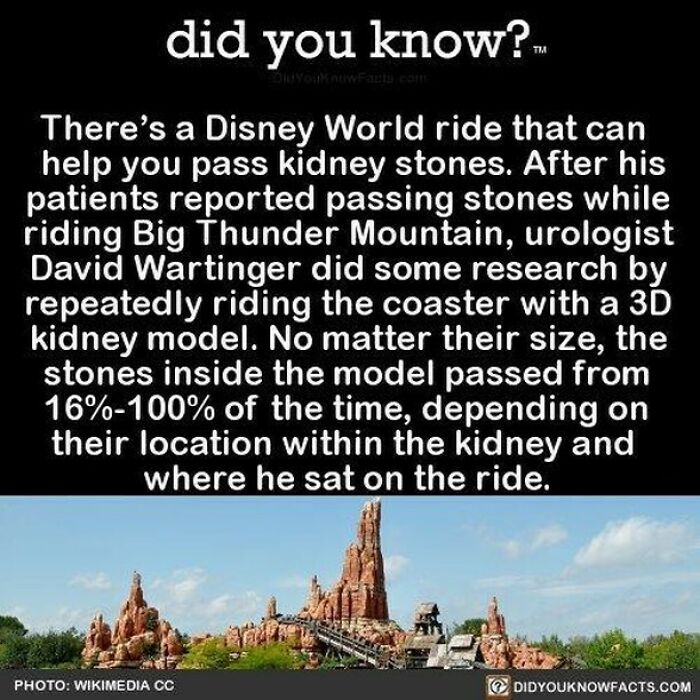 Interesting-Facts-Did-You-Know