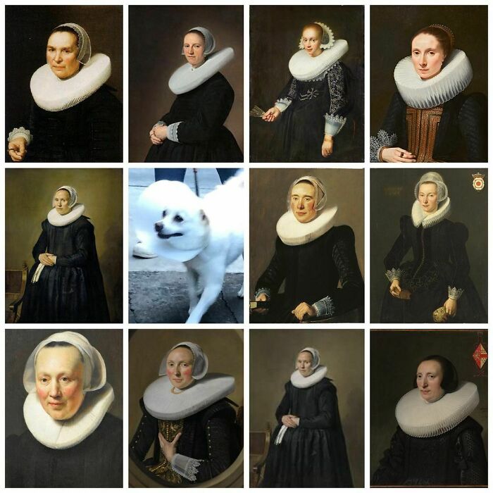 Poorly-Photographed-Dogs