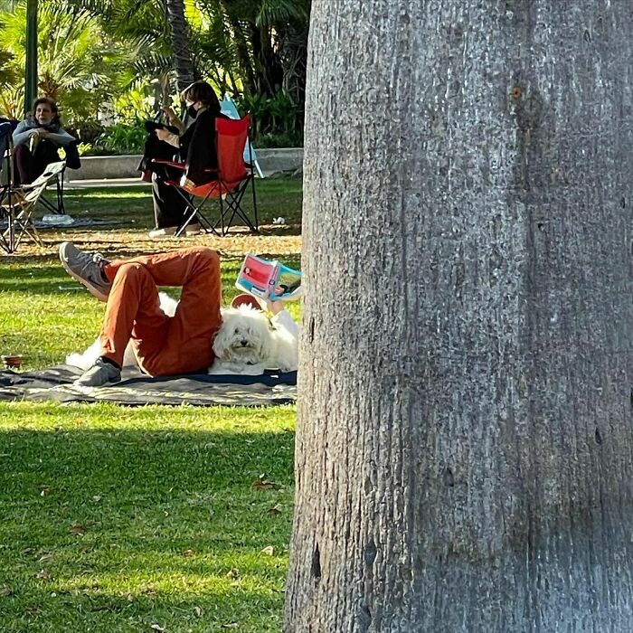 35 Funny And Adorable Dogs That Were Sneakily Photographed And Ended On Up On ‘Dogs Poorly Photographed’ IG Page