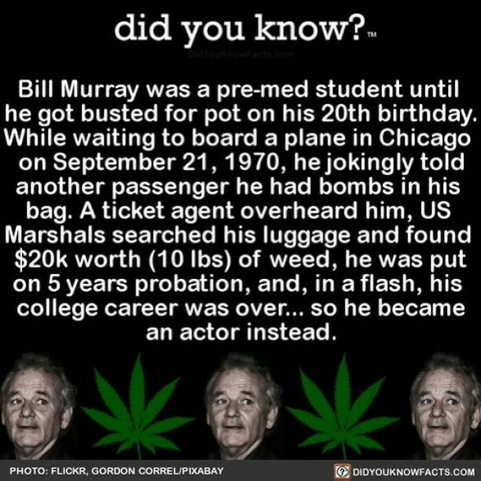 Interesting-Facts-Did-You-Know