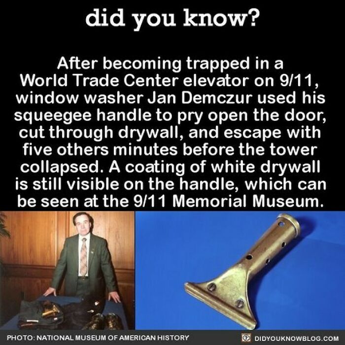 Interesting-Facts-Did-You-Know