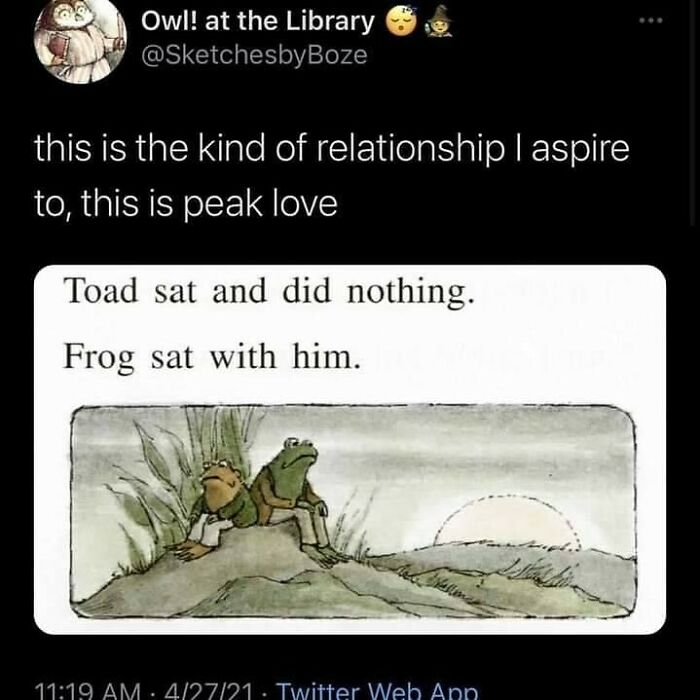 Funny relatable meme from Introvert Nation showing a toad and frog sitting quietly together at sunset.