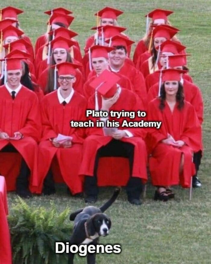 Gallery Of 4 Images.
🔥👉s W I P E 👉🔥to Learn The History Behind The Meme
•
•
•
•
👉 Follow @historymemes_explained For More Memes With Interesting Explanations!