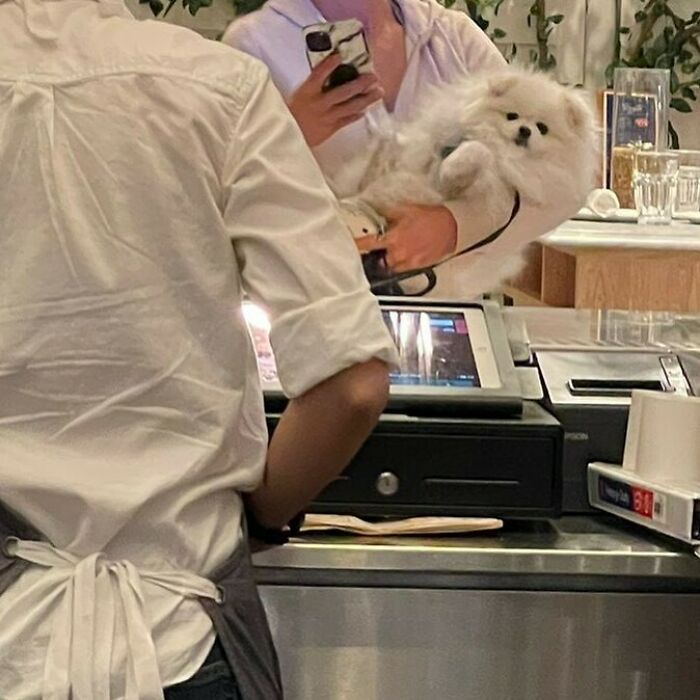 Poorly-Photographed-Dogs